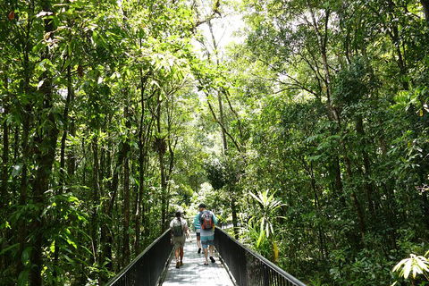 Daintree Dreaming Traditional Aboriginal Fishing From Cairns Or Port Douglas - Accommodation NSW 3