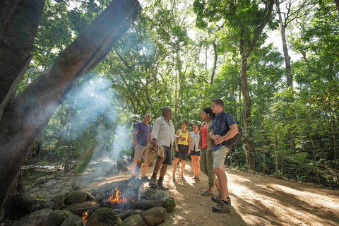 Daintree Dreaming Traditional Aboriginal Fishing From Cairns Or Port Douglas - Accommodation NSW 5