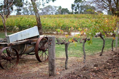 Maggie Beer Farm - Barossa Valley Regional Tour - Accommodation NSW 1
