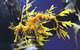 SEA LIFE Melbourne Aquarium Admission Ticket - thumb 0