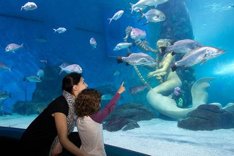 SEA LIFE Melbourne Aquarium Admission Ticket - Accommodation NSW 4