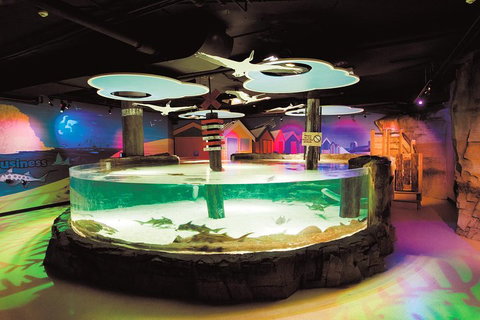 SEA LIFE Melbourne Aquarium Admission Ticket - Accommodation NSW 5