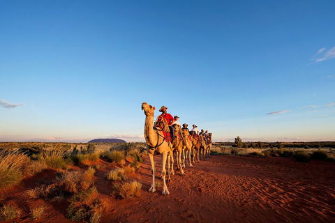 Uluru Small-Group Tour By Camel At Sunrise Or Sunset - Accommodation NSW 3