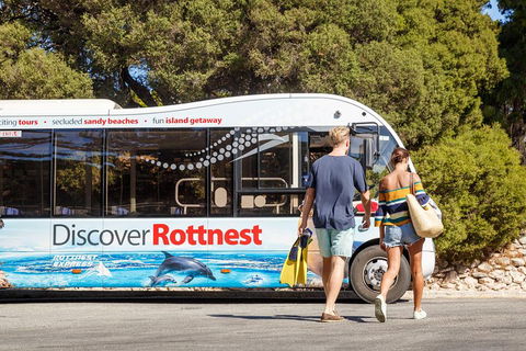 Discover Rottnest With Ferry & Bus Tour From Perth Or Fremantle - Accommodation NSW 1