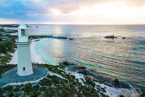 Discover Rottnest With Ferry & Bus Tour From Perth Or Fremantle - Accommodation NSW 2