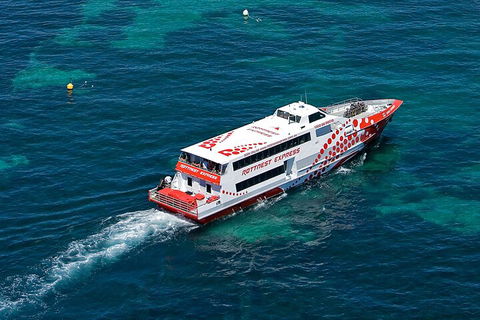 Discover Rottnest With Ferry & Bus Tour From Perth Or Fremantle - Accommodation NSW 3