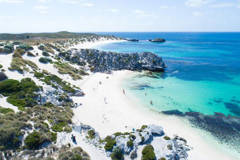 Discover Rottnest With Ferry & Bus Tour From Perth Or Fremantle - Accommodation NSW 5