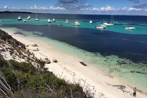 Experience Rottnest With Ferry & Bike Hire From Perth Or Fremantle - Accommodation NSW 0