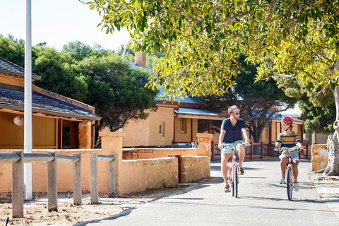 Experience Rottnest With Ferry & Bike Hire From Perth Or Fremantle - Accommodation NSW 1