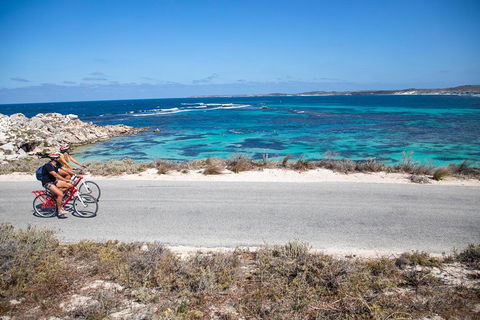 Experience Rottnest With Ferry & Bike Hire From Perth Or Fremantle - Accommodation NSW 2