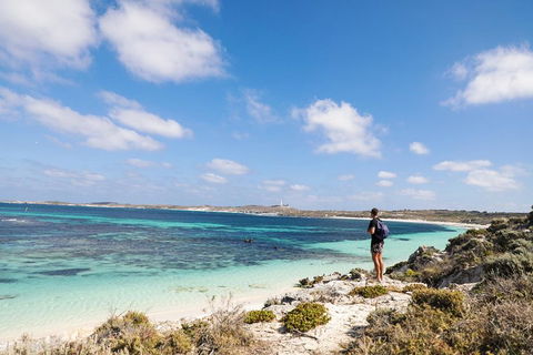 Experience Rottnest With Ferry & Bike Hire From Perth Or Fremantle - Accommodation NSW 3