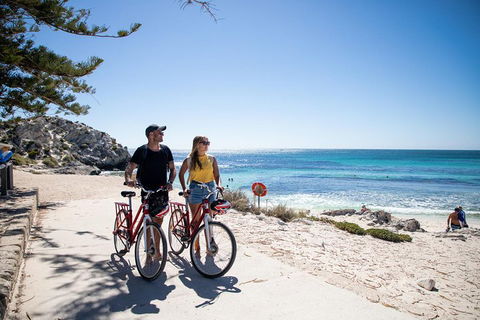 Experience Rottnest With Ferry & Bike Hire From Perth Or Fremantle - Accommodation NSW 4