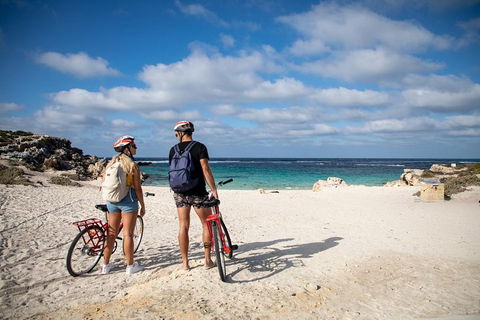 Experience Rottnest With Ferry & Bike Hire From Perth Or Fremantle - Accommodation NSW 5
