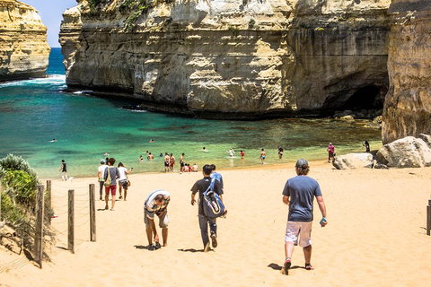 Small-Group Great Ocean Road Classic Day Tour From Melbourne - Accommodation NSW 5