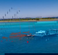 Ocean Free Green Island  Great Barrier Reef Snorkel Cruise Cairns 25 guests - Accommodation NSW