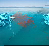 Ocean Freedom Great Barrier Reef Personal Luxury Snorkel  Dive Cruise Cairns - Accommodation NSW