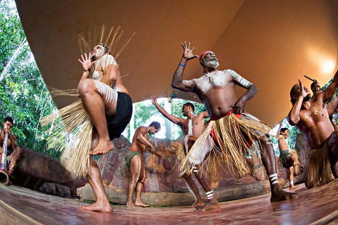 Kuranda Highlights Including Rainforestation Aboriginal Culture And Wildlife - Accommodation NSW 1