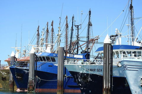 One Day Port Lincoln Tour - Tasting Eyre - Accommodation NSW 0