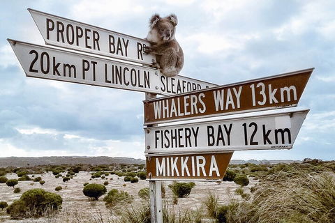 One Day Port Lincoln Tour - Tasting Eyre - Accommodation NSW 2