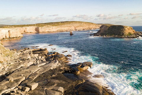 One Day Port Lincoln Tour - Tasting Eyre - Accommodation NSW 3