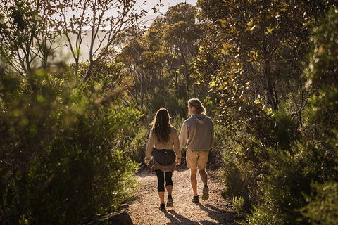 One Day Port Lincoln Tour - Tasting Eyre - Accommodation NSW 5