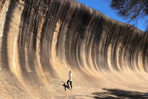 6 Day Esperance & Margaret River Adventure Tour - Accommodation NSW 4