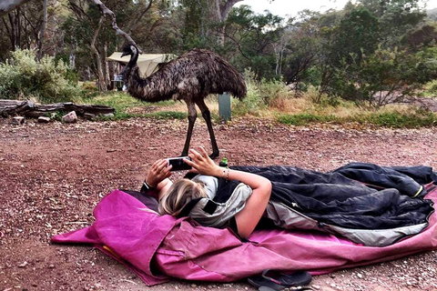 6 Day Esperance & Margaret River Adventure Tour - Accommodation NSW 5