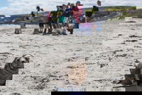 Book Viator Accommodation Vacations Accommodation NSW Accommodation NSW