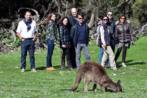 2-Day Kangaroo Island 4WD Small-Group Tour From Adelaide - Accommodation NSW 1