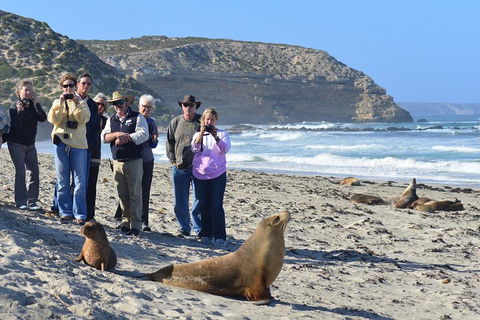 2-Day Kangaroo Island 4WD Small-Group Tour From Adelaide - Accommodation NSW 3