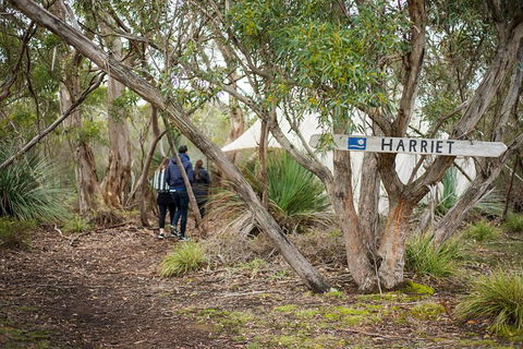 2-Day Kangaroo Island 4WD Small-Group Tour From Adelaide - Accommodation NSW 5