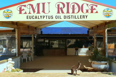 2 Day Ultimate Kangaroo Island With Return Ferry - Accommodation NSW 3