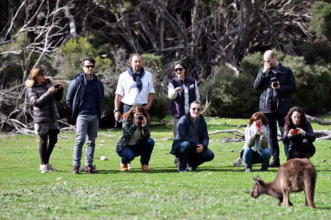 Small-Group Kangaroo Island 4WD Tour From Adelaide - Accommodation NSW 2