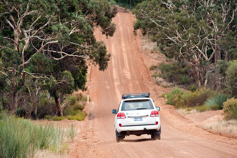 Small-Group Kangaroo Island 4WD Tour From Adelaide - Accommodation NSW 3