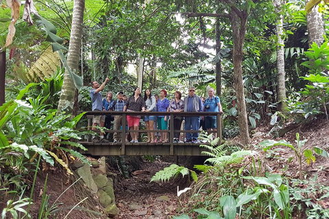 Cairns Shore Excursion: Cairns City Sights & Surrounds Tour - Accommodation NSW 1