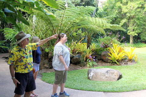 Cairns Shore Excursion: Cairns City Sights & Surrounds Tour - Accommodation NSW 4