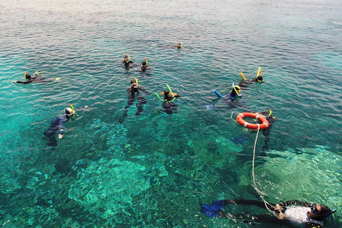 Seastar Luxury Outer Great Barrier Reef Island And Reef Tour From Cairns - Accommodation NSW 2