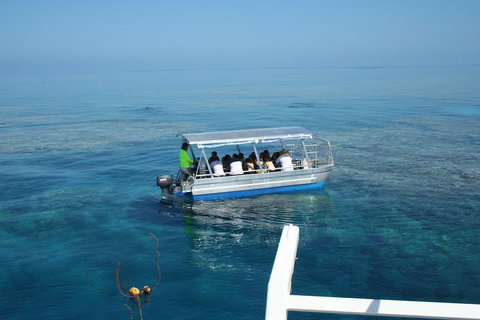 Seastar Luxury Outer Great Barrier Reef Island And Reef Tour From Cairns - Accommodation NSW 5