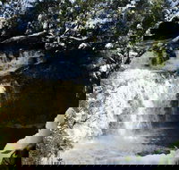 Cradle Mountain Day Tour from Launceston Including Lunch - Accommodation NSW