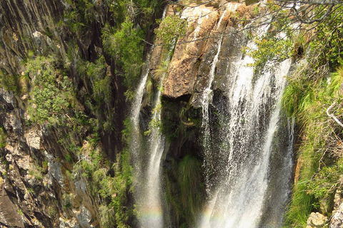 Beyond Byron Hinterland Tour - Accommodation NSW 5
