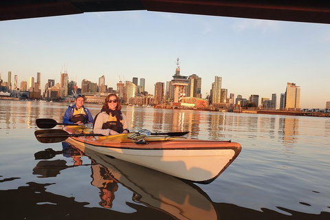 Melbourne Sunset Kayaking Experience With Dinner - Accommodation NSW 3