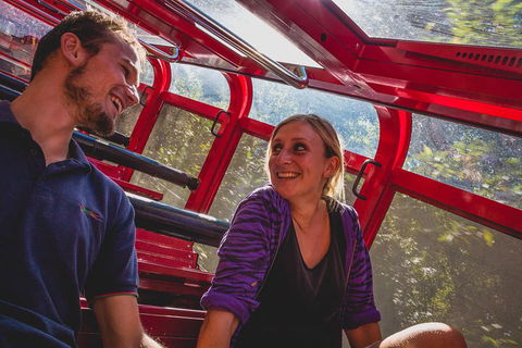 Blue Mountains Hop-on Hop-off Tour With Optional Scenic World Rides - Accommodation NSW 5