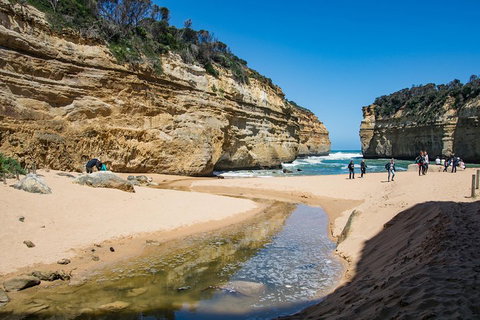 Great Ocean Road Reverse Itinerary With 12 Apostles From Melbourne - Accommodation NSW 2