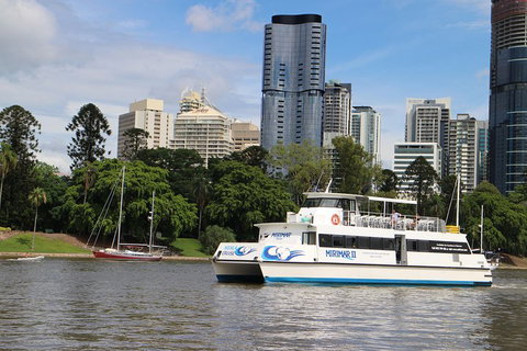 Lone Pine Koala Sanctuary Admission With Brisbane River Cruise - Accommodation NSW 2