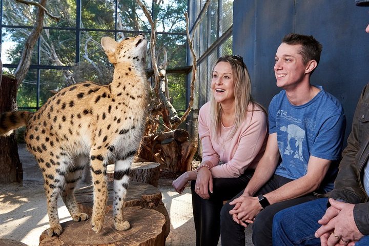 Accommodation NSW