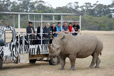 Off-Road Safari At Werribee Open Range Zoo - Accommodation NSW 0