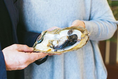 Half-Day Willie Creek Pearl Farm Tour With Helicopter Flight - Accommodation NSW 3