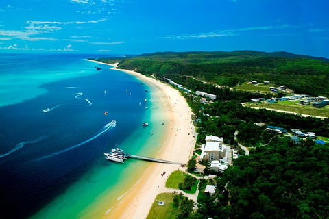Tangalooma Island Resort Whale Watching Day Cruise - Accommodation NSW 2