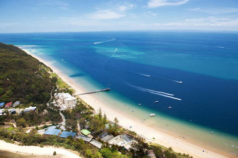 Tangalooma Island Resort Whale Watching Day Cruise - Accommodation NSW 3