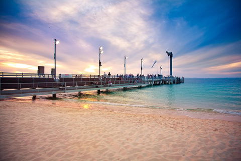 Tangalooma Island Resort Whale Watching Day Cruise With Dolphin Viewing - Accommodation NSW 3